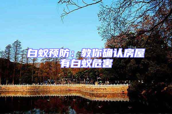 白蟻預防:教你確認房屋有白蟻危害