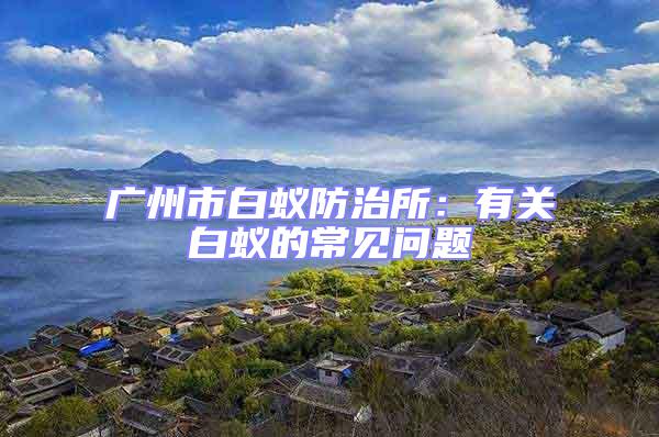 廣州市白蟻防治所:有關白蟻的常見問題