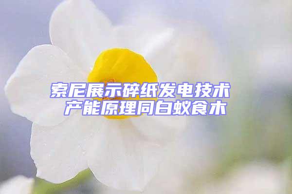 索尼展示碎紙發(fā)電技術(shù) 產(chǎn)能原理同白蟻食木