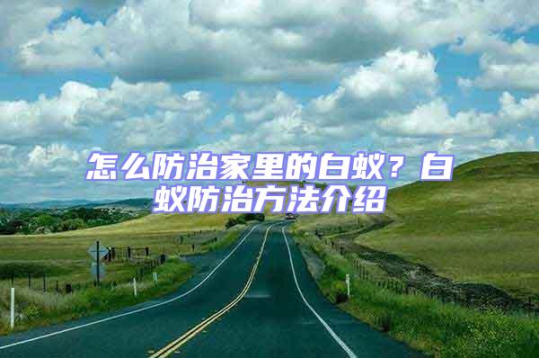 怎么防治家里的白蟻?白蟻防治方法介紹