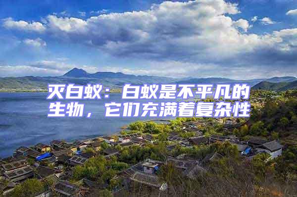 滅白蟻:白蟻是不平凡的生物,它們充滿著復雜性