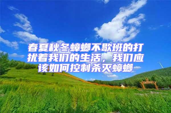 春夏秋冬蟑螂不歇班的打擾著我們的生活,我們應該如何控制殺滅蟑螂