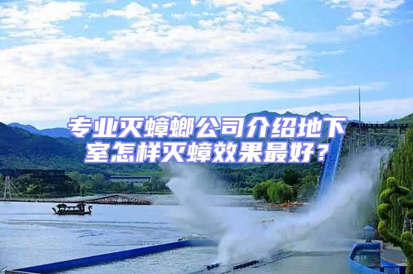 專業滅蟑螂公司介紹地下室怎樣滅蟑效果最好?