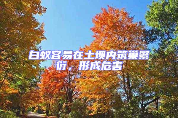 白蟻容易在土壩內(nèi)筑巢繁衍,形成危害