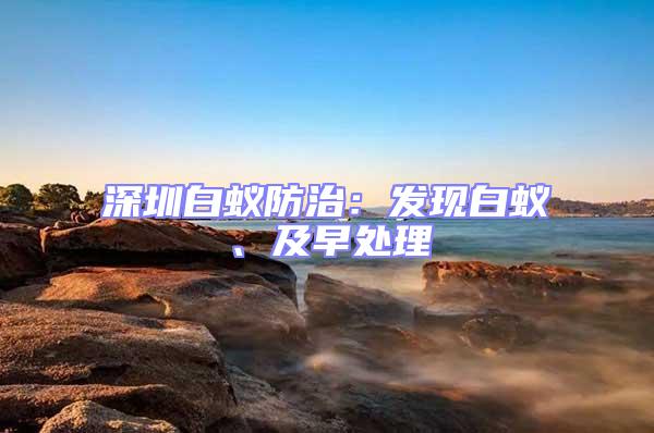 深圳白蟻防治:發現白蟻、及早處理