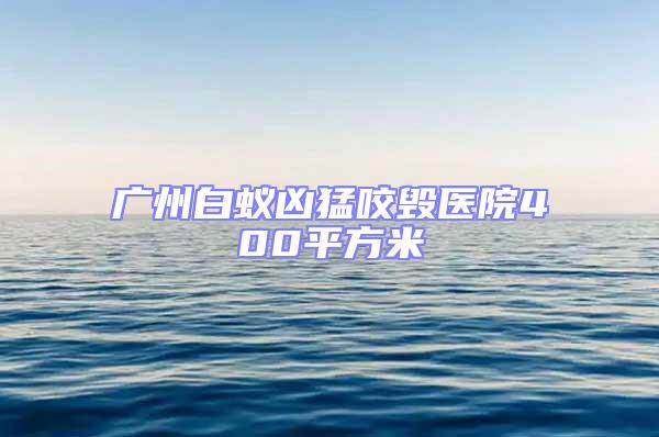 廣州白蟻兇猛咬毀醫(yī)院400平方米