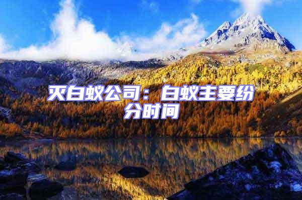 滅白蟻公司:白蟻主要紛分時間