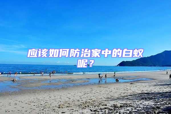 應該如何防治家中的白蟻呢?