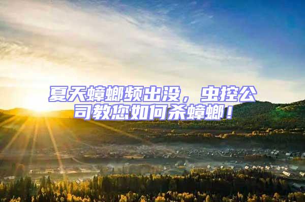 夏天蟑螂頻出沒,蟲控公司教您如何殺蟑螂!