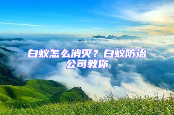 白蟻怎么消滅?白蟻防治公司教你