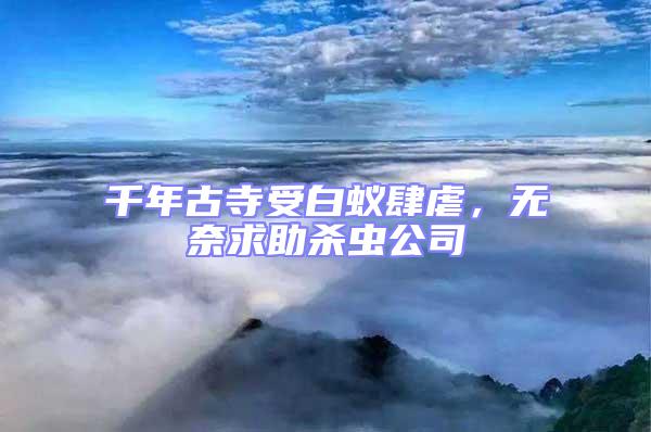千年古寺受白蟻肆虐,無奈求助殺蟲公司
