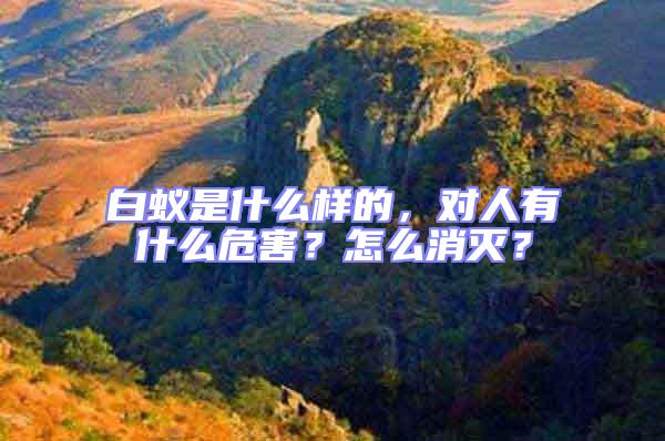 白蟻是什么樣的,對人有什么危害?怎么消滅?