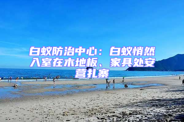 白蟻防治中心:白蟻悄然入室在木地板、家具處安營扎寨