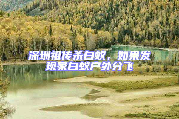 深圳祖?zhèn)鳉紫仯绻l(fā)現(xiàn)家白蟻戶外分飛