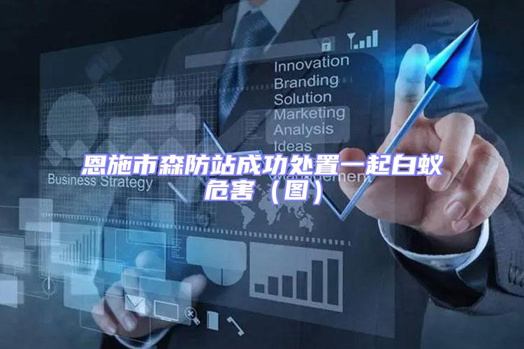 恩施市森防站成功處置一起白蟻危害(圖)