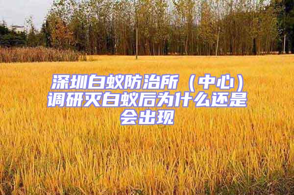 深圳白蟻防治所(中心)調研滅白蟻后為什么還是會出現