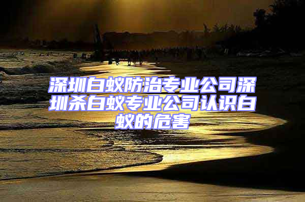 深圳白蟻防治專業(yè)公司深圳殺白蟻專業(yè)公司認(rèn)識(shí)白蟻的危害