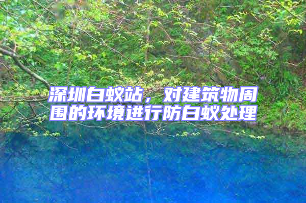 深圳白蟻站,對建筑物周圍的環境進行防白蟻處理