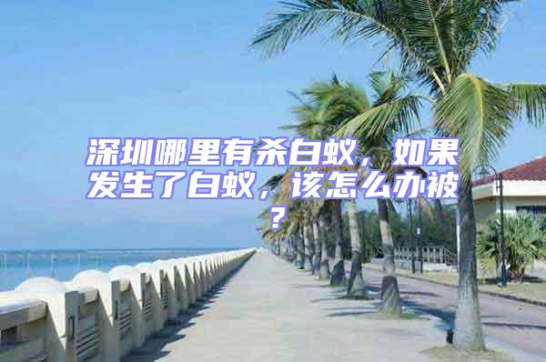 深圳哪里有殺白蟻,如果發生了白蟻,該怎么辦被?