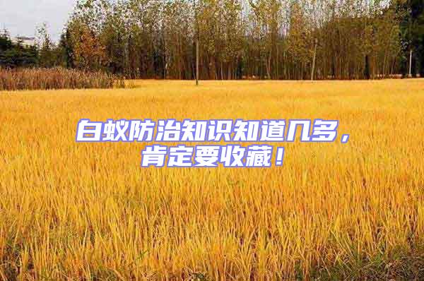 白蟻防治知識知道幾多,肯定要收藏!