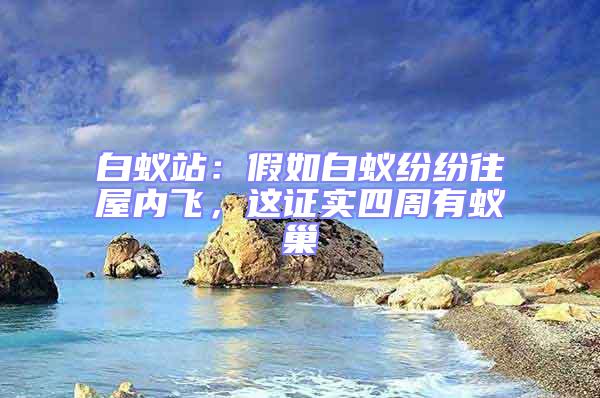 白蟻站:假如白蟻紛紛往屋內飛,這證實四周有蟻巢
