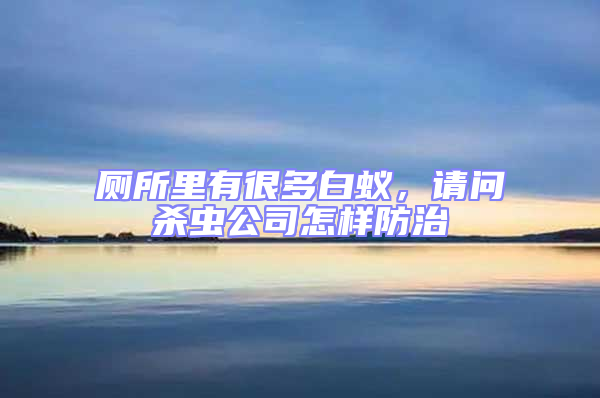廁所里有很多白蟻,請問殺蟲公司怎樣防治