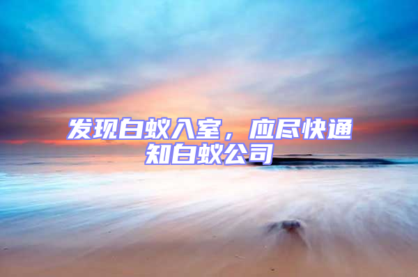 發(fā)現(xiàn)白蟻入室,應(yīng)盡快通知白蟻公司