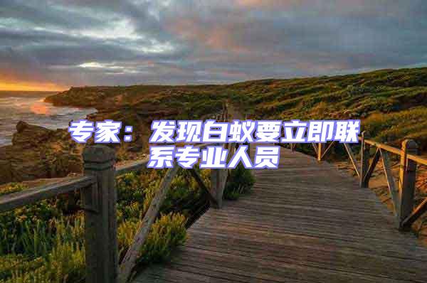 專家:發現白蟻要立即聯系專業人員
