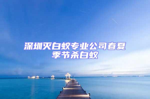 深圳滅白蟻專業(yè)公司春夏季節(jié)殺白蟻