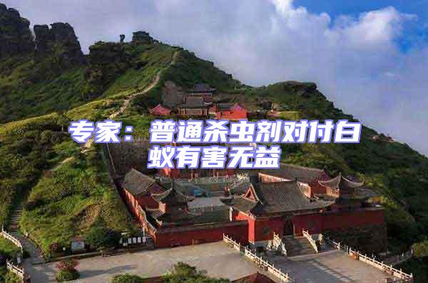 專家:普通殺蟲劑對(duì)付白蟻有害無(wú)益