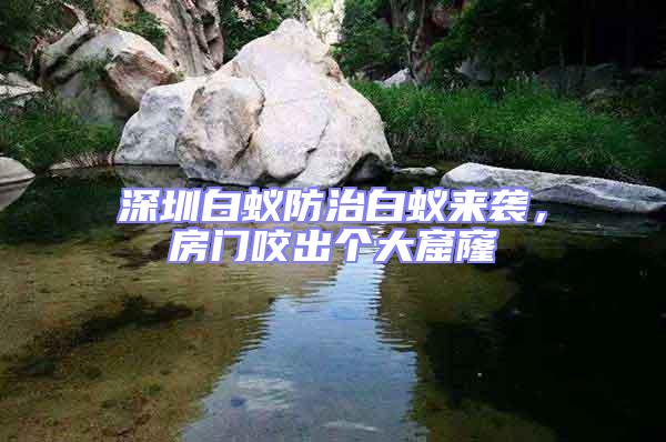 深圳白蟻防治白蟻來(lái)襲,房門(mén)咬出個(gè)大窟窿