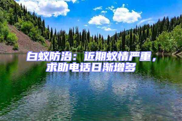 白蟻防治：近期蟻情嚴(yán)重，求助電話日漸增多