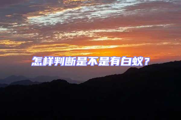 怎樣判斷是不是有白蟻?