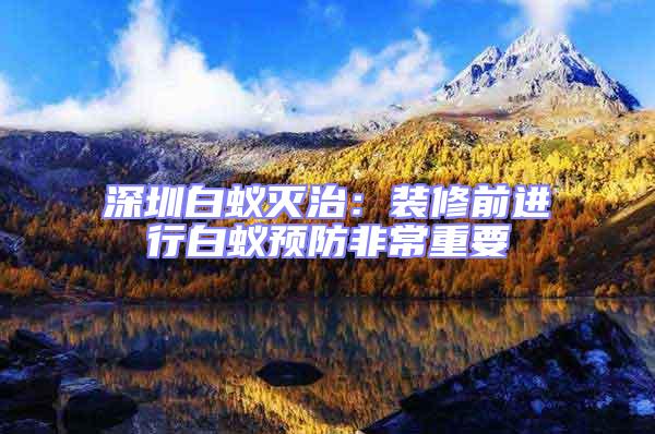 深圳白蟻滅治:裝修前進行白蟻預防非常重要