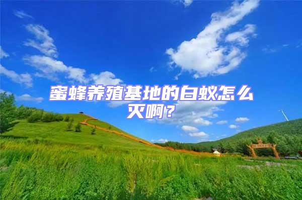 蜜蜂養(yǎng)殖基地的白蟻怎么滅啊?