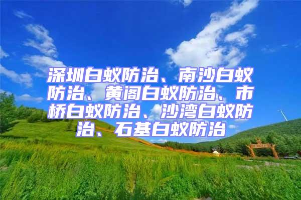 深圳白蟻防治、南沙白蟻防治、黃閣白蟻防治、市橋白蟻防治、沙灣白蟻防治、石基白蟻防治