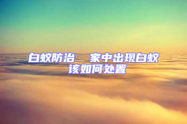 白蟻防治  家中出現(xiàn)白蟻 該如何處置