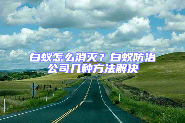 白蟻怎么消滅?白蟻防治公司幾種方法解決