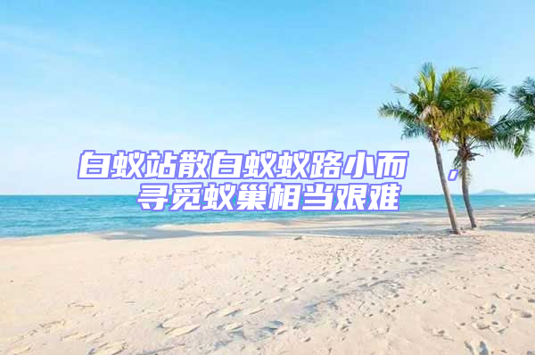 白蟻站散白蟻蟻路小而骫骳，尋覓蟻巢相當艱難