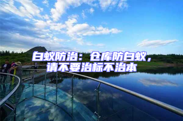 白蟻防治:倉(cāng)庫(kù)防白蟻,請(qǐng)不要治標(biāo)不治本