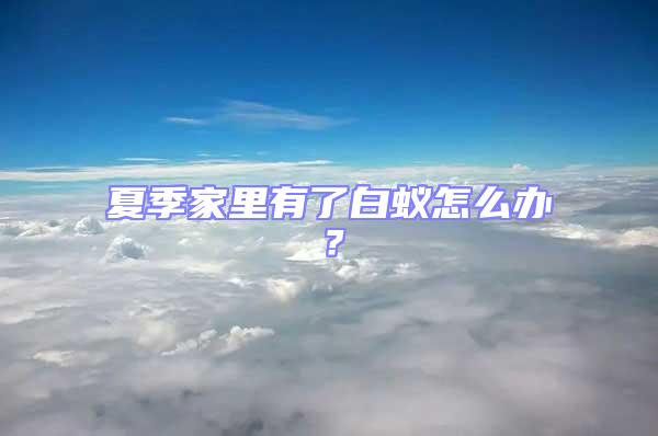 夏季家里有了白蟻怎么辦?