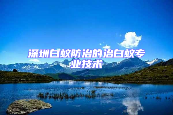 深圳白蟻防治的治白蟻專業(yè)技術(shù)