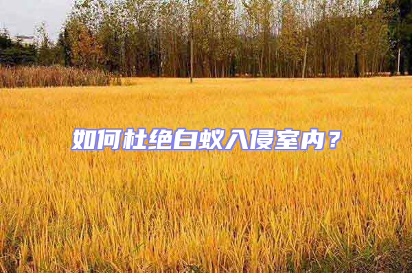 如何杜絕白蟻入侵室內(nèi)?