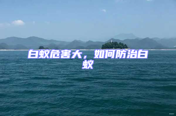 白蟻危害大,如何防治白蟻