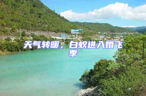 天氣轉(zhuǎn)暖,白蟻進入婚飛季