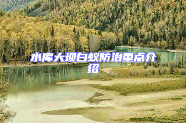 水庫(kù)大壩白蟻防治重點(diǎn)介紹