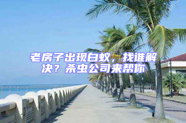 老房子出現(xiàn)白蟻,找誰解決?殺蟲公司來幫你
