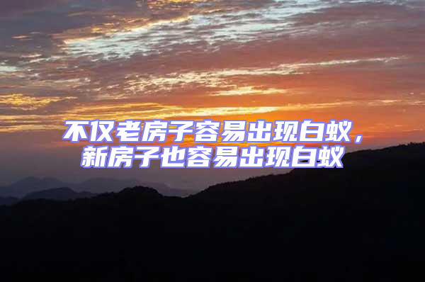 不僅老房子容易出現(xiàn)白蟻,新房子也容易出現(xiàn)白蟻