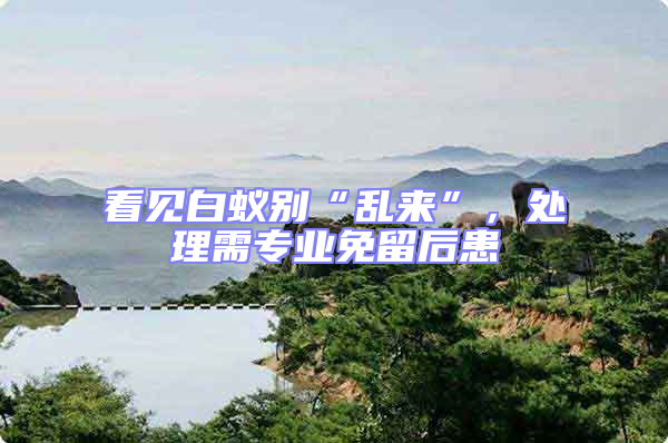 看見白蟻別“亂來”，處理需專業免留后患