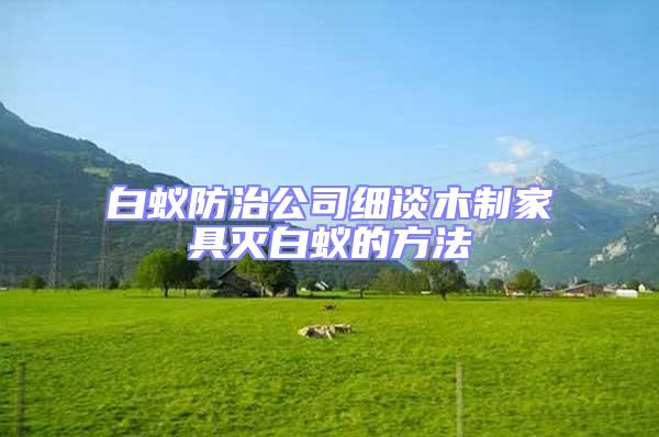 白蟻防治公司細(xì)談木制家具滅白蟻的方法